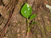 picoduarte - 22